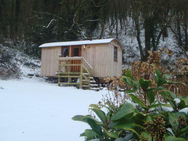 'Morris' The Shepherd'S Hut And Woodland Hot Tub Experience Carmarthen Exterior foto